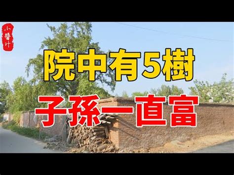 陽樹種類|打造完美庭院指南